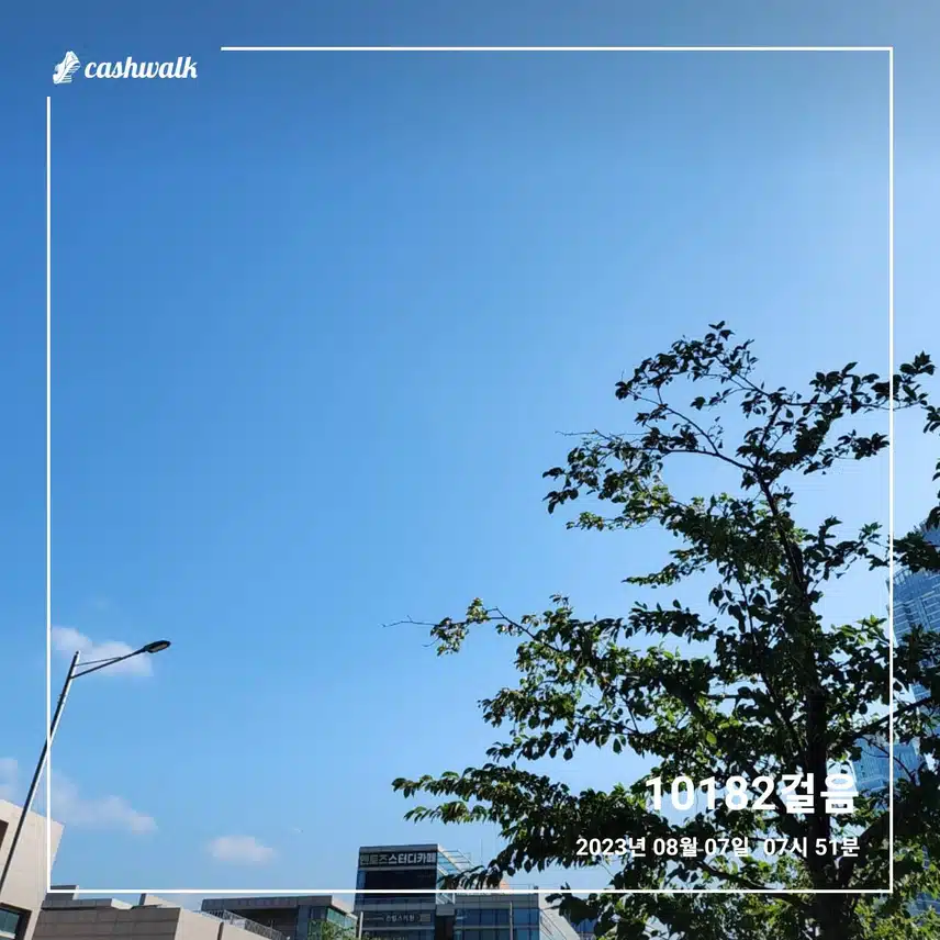 만보걷기 하였습니다 