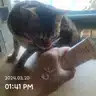 board-img