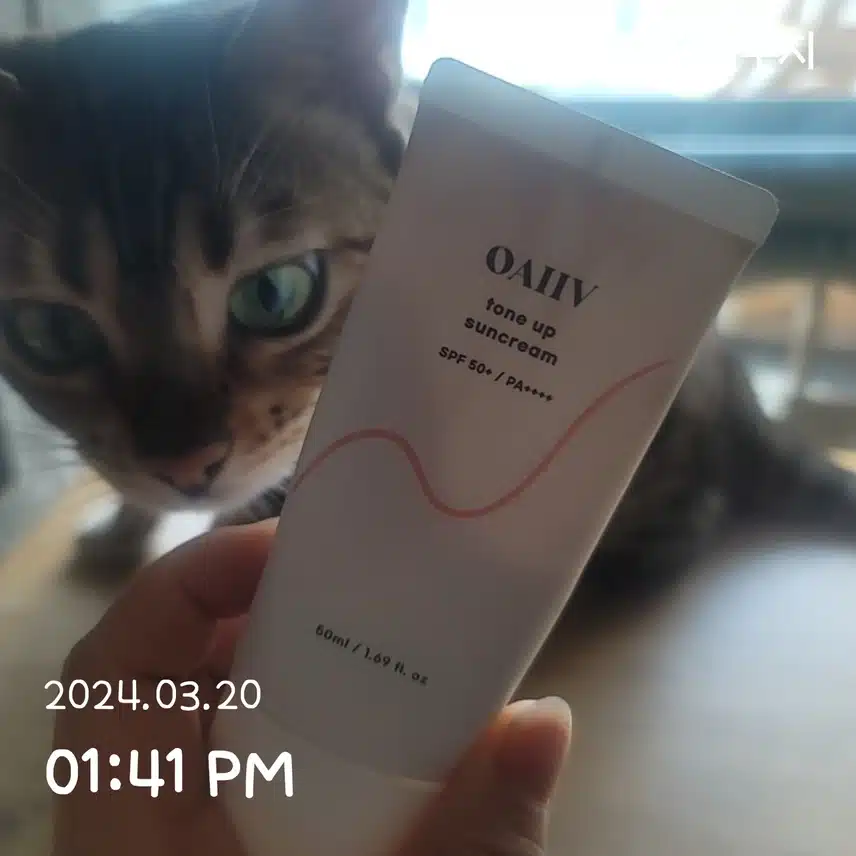 3/20(수)오아이브 톤업선크림