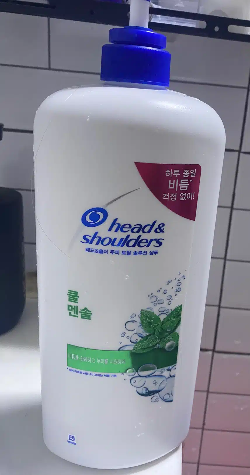 쿨링 비듬 샴푸
