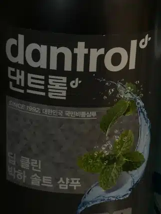  댄트롤 딥 클린 박하 솔트 샴푸 여름용으로 추천해요