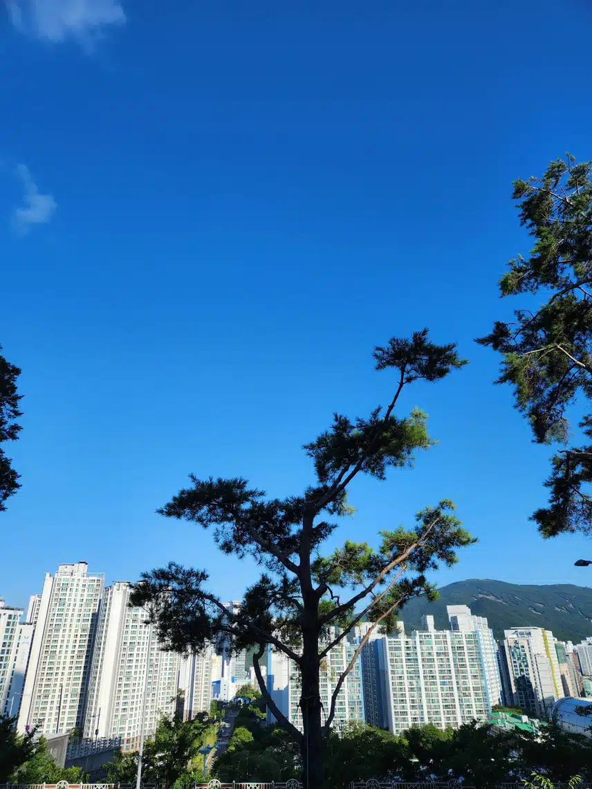 일상복귀
