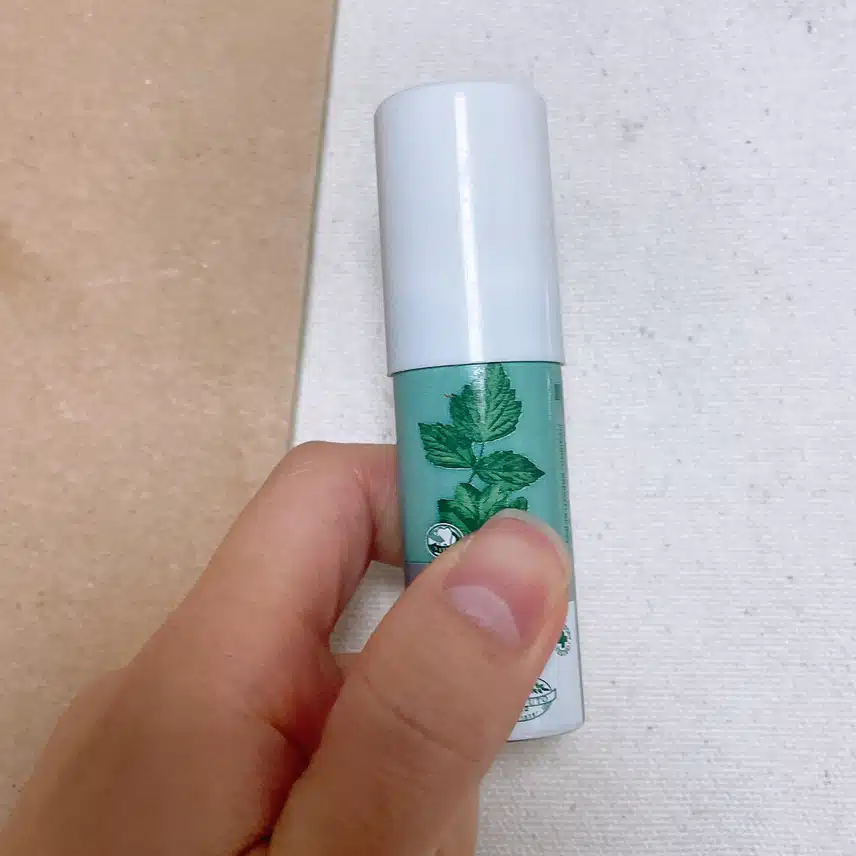 덴ㅌ스테