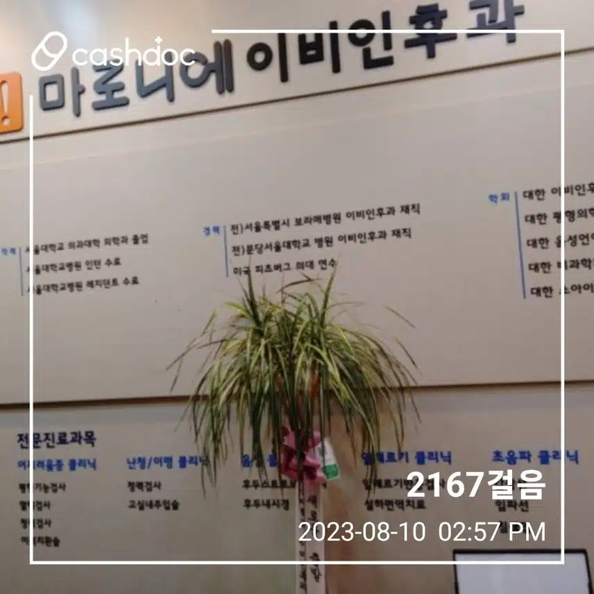 동숭동 마로니에이비인후과