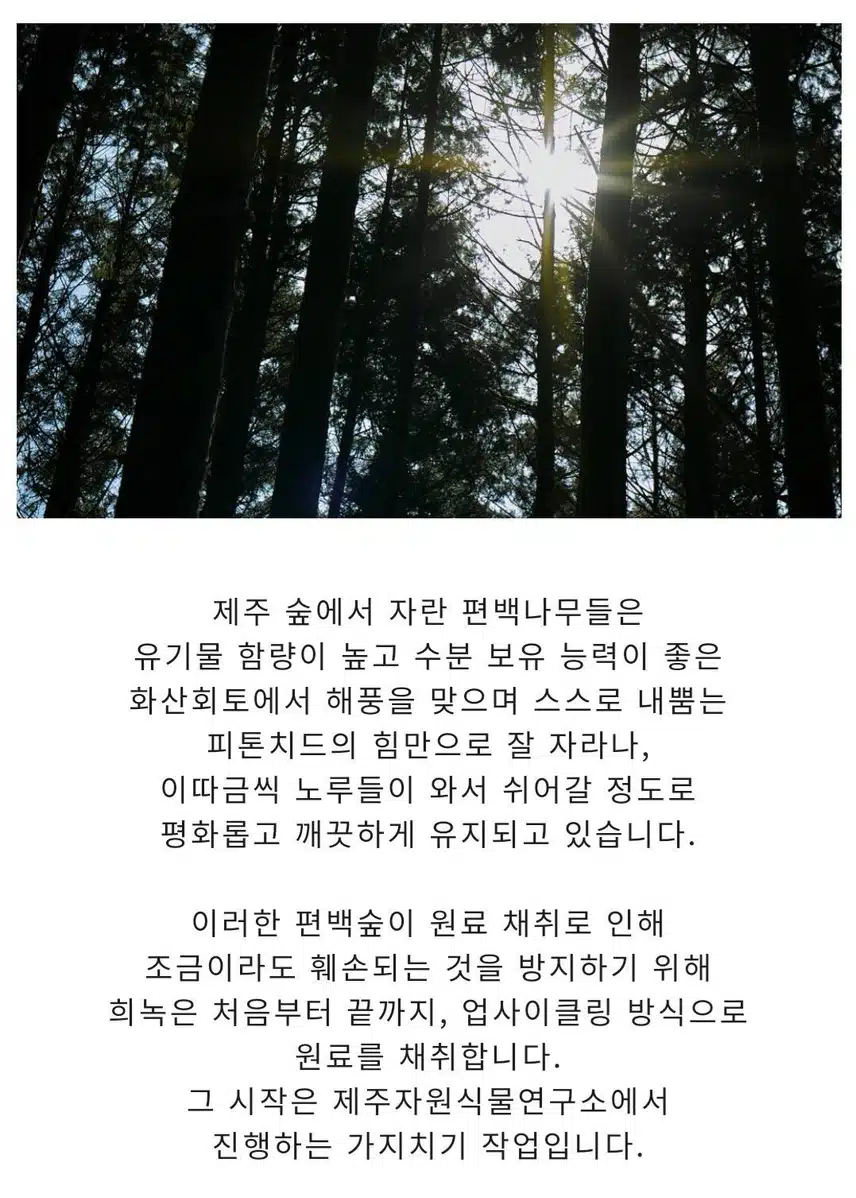 편백나무 그득한 탈취제 희녹
