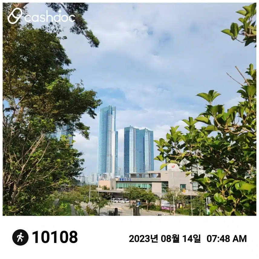 만보걷기 