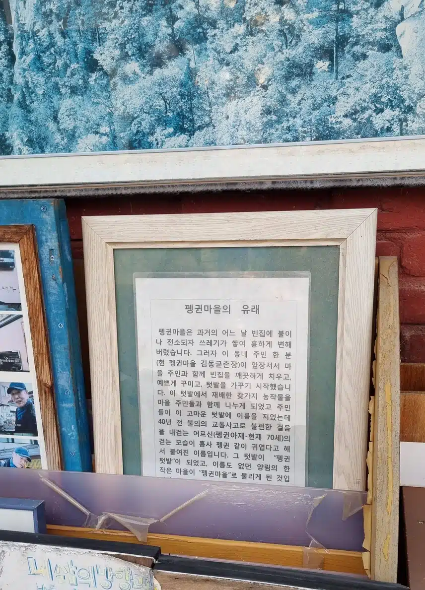 광주 양림동 펭귄 마을이 있네요