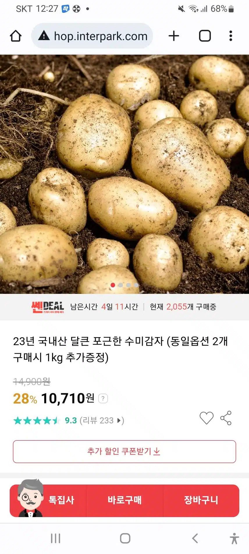 핫딜 수미감자 