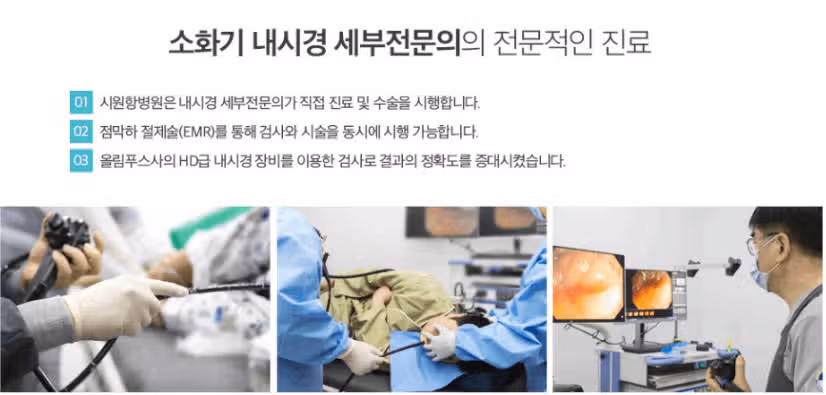 덕천 시원항병원