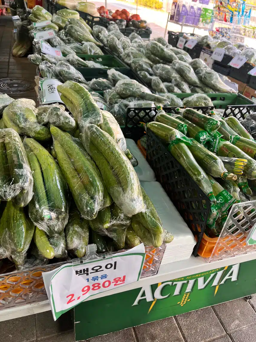 🥒 상큼한 🥒오이🥒오이