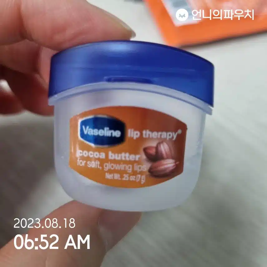 1일 1립밤