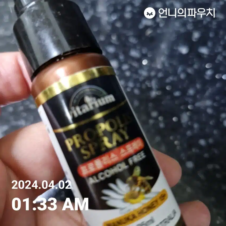 프로폴리스 