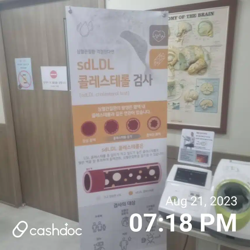 전주시 덕진구 호성동 호성전주병원 내과 추천합니다.