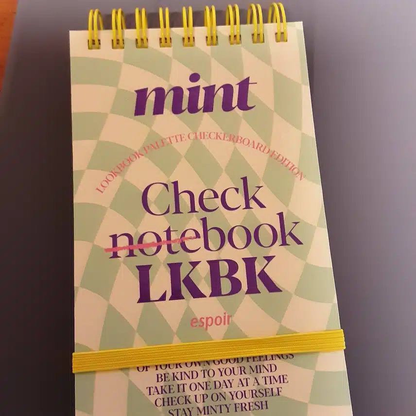 에스쁘아 룩북 팔레트 민트 체크