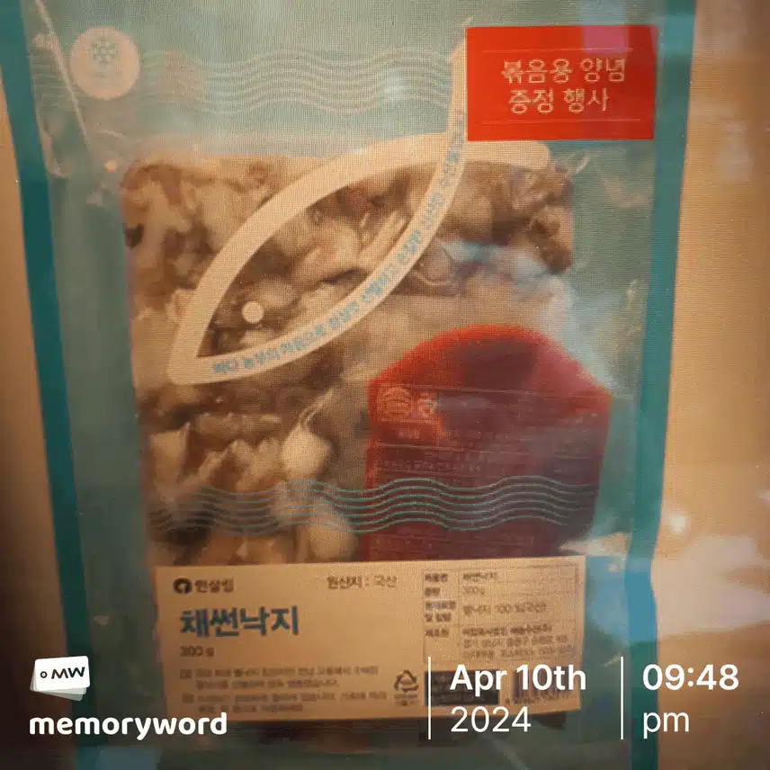 낙지 볶음 