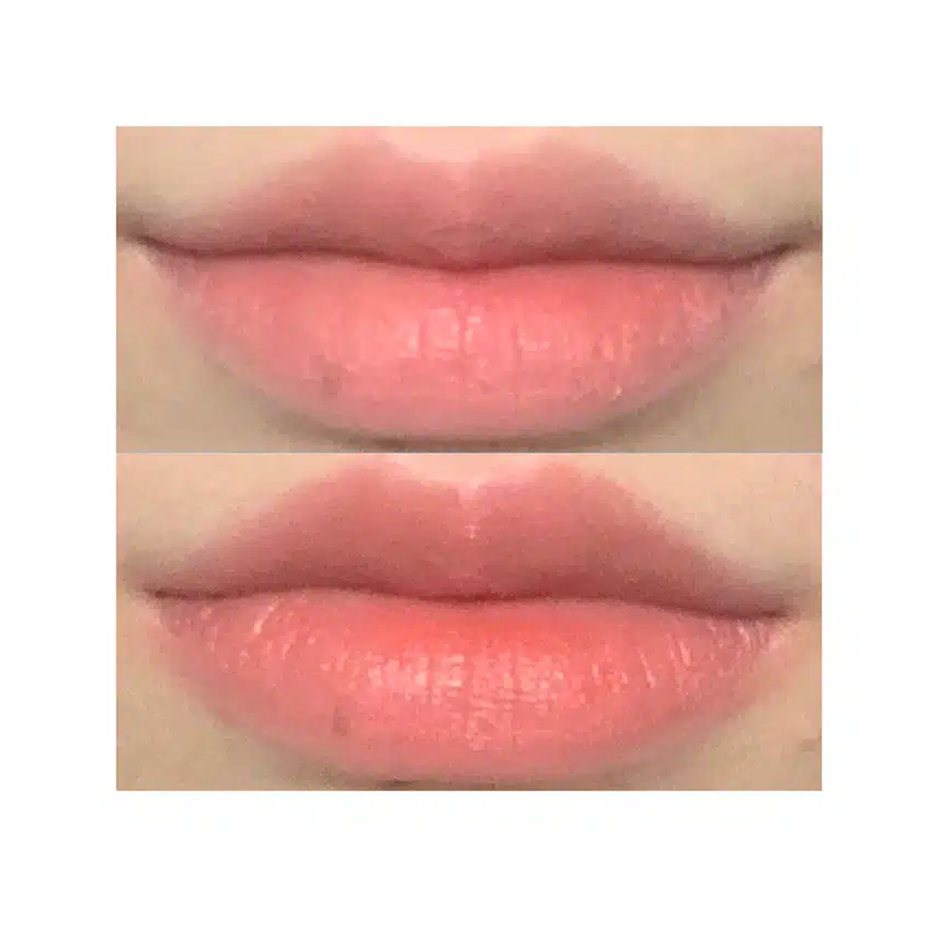 🍒레드쿠키 A3네이처벨르🍒