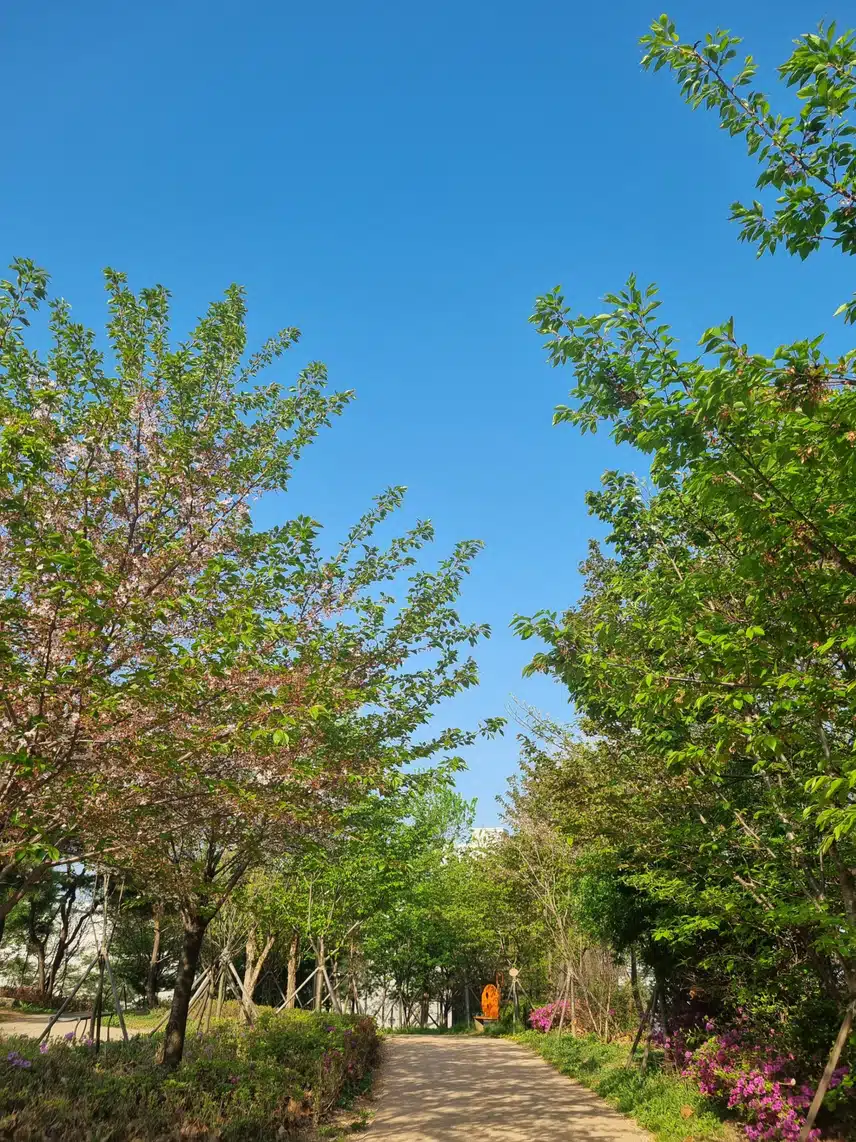톤업선크림