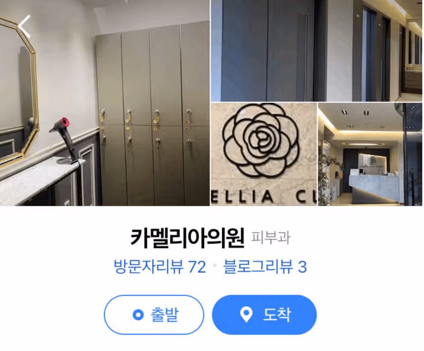 제주도 피코토닝 카멜리아의원
