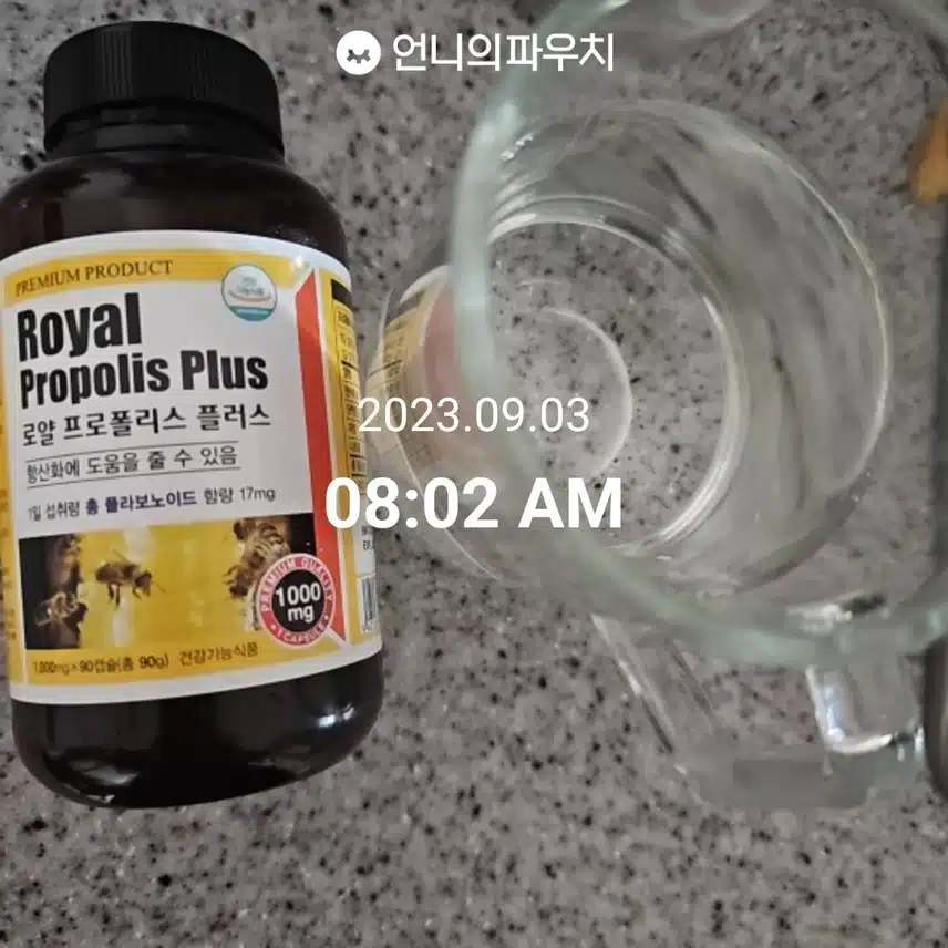 9월 3일 아침 루틴
