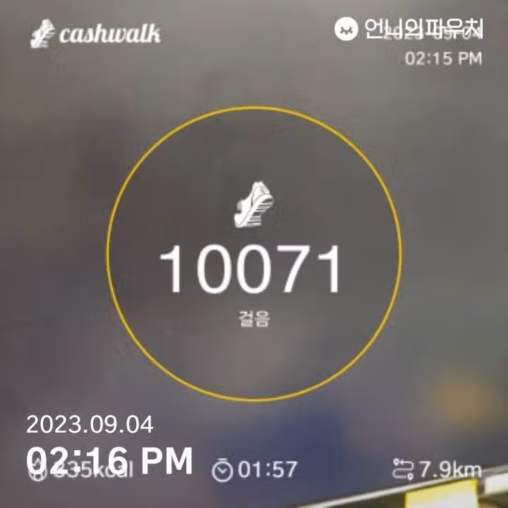 걷기 좋은 요즘