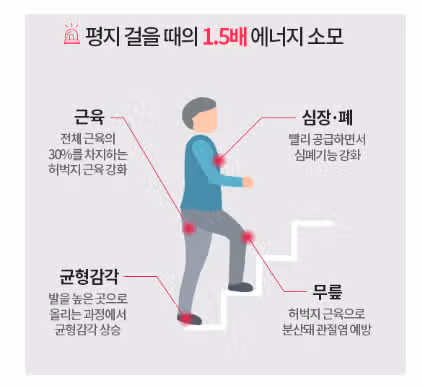[건강꿀팁] 계단오르기로 근력 키우기