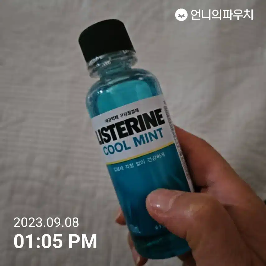 리스테인 쿨민트