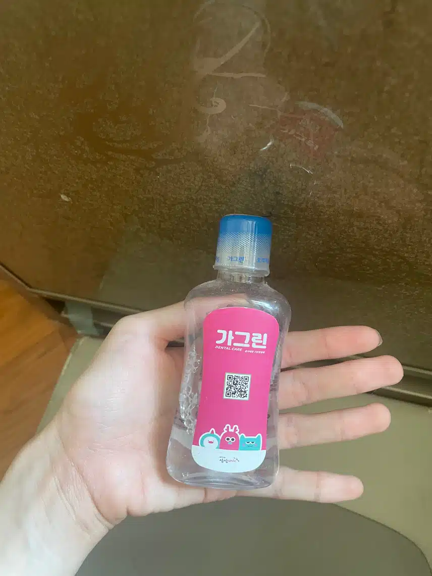 가글 가그린 내돈내산