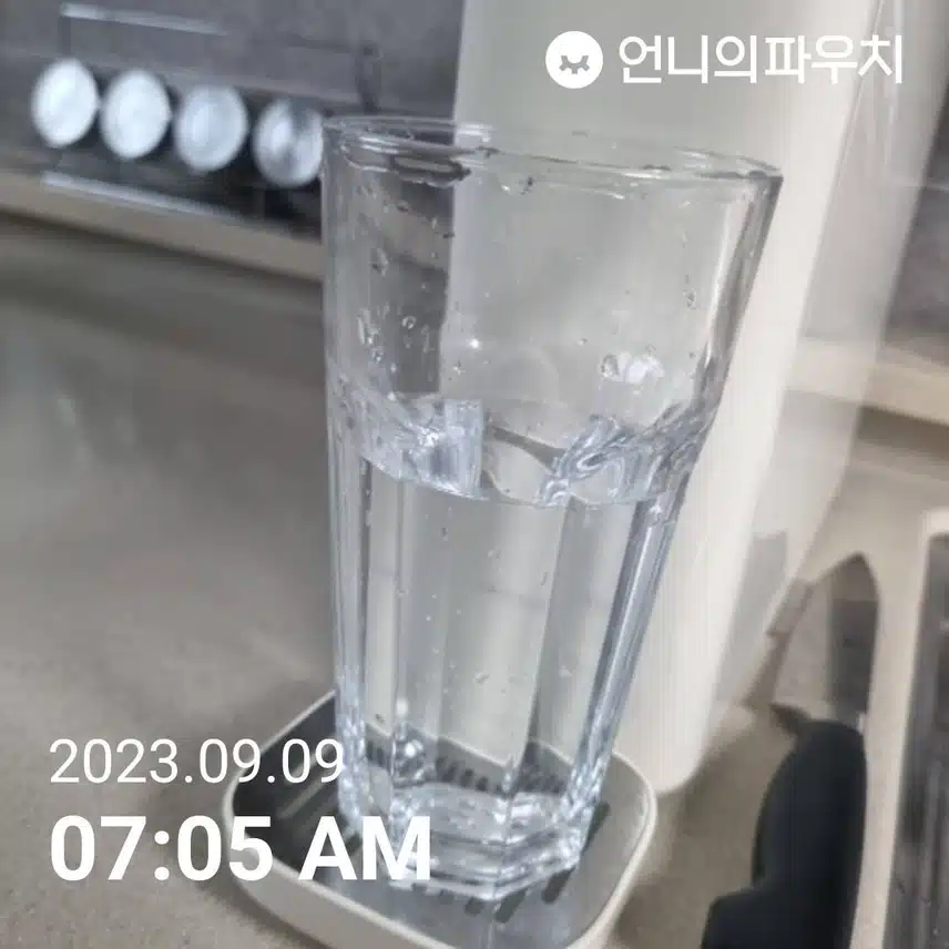 토요일 공복 물한잔