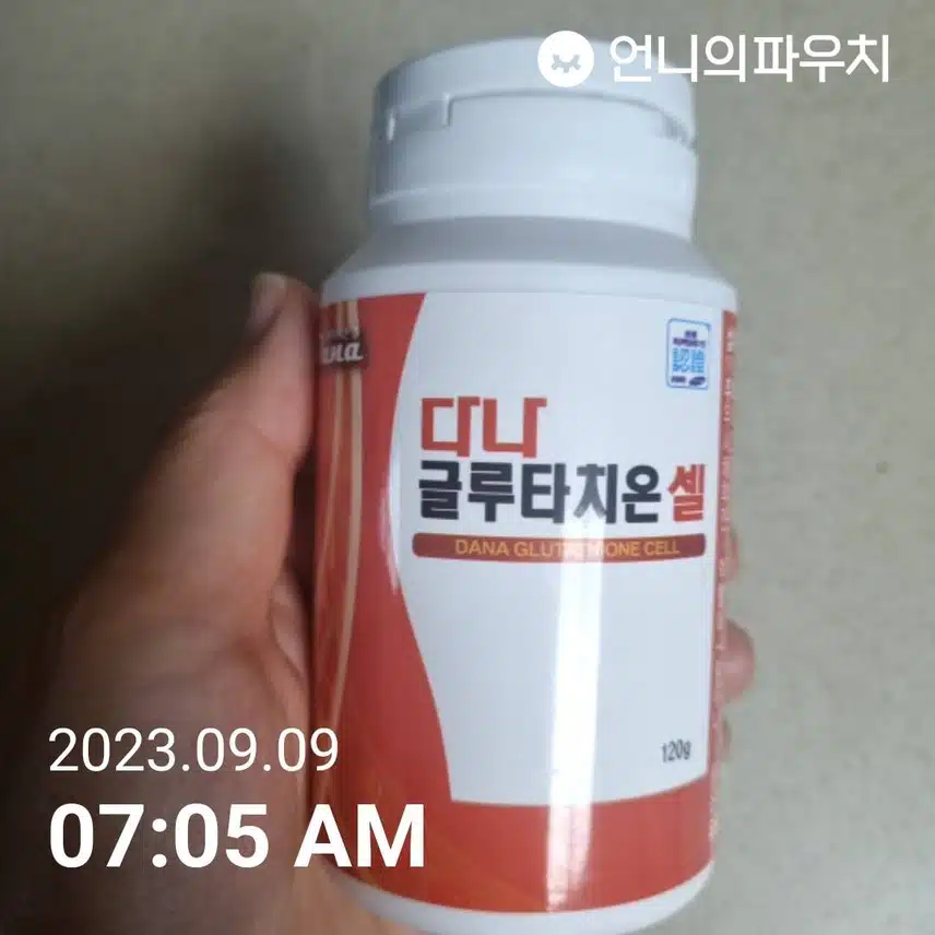 토요일 밀크씨드