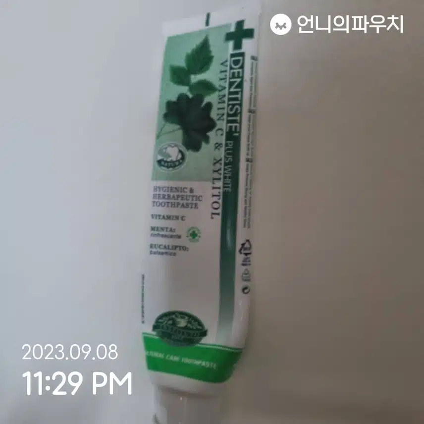 덴티스테 치약