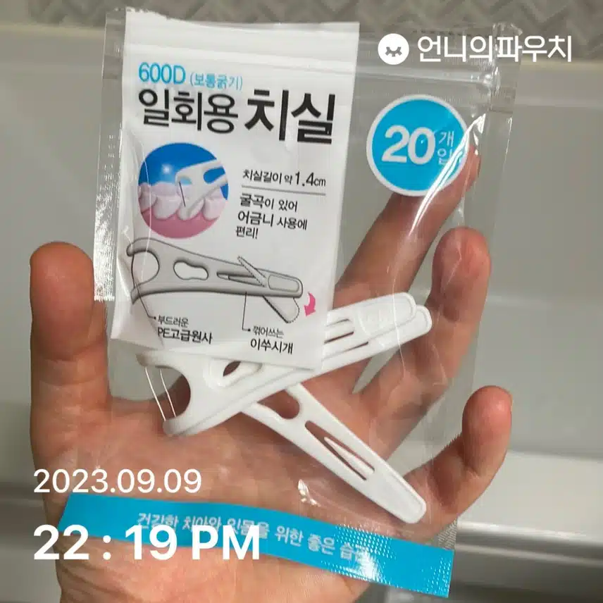 다이소 Y형 일회용치실20P