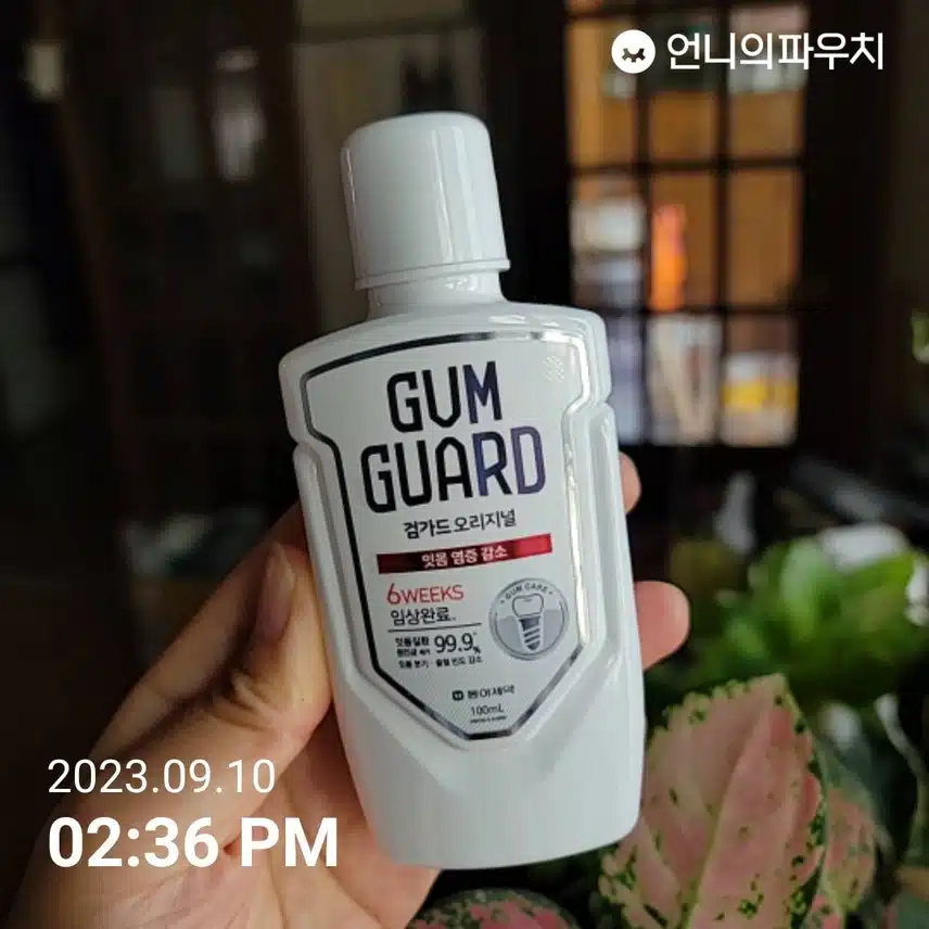 검가드 오리지널 입안을 개운하게