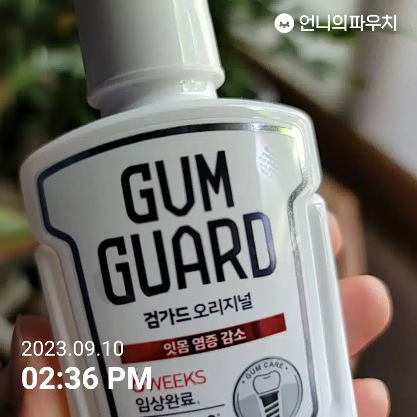 검가드 오리지널 입안을 개운하게