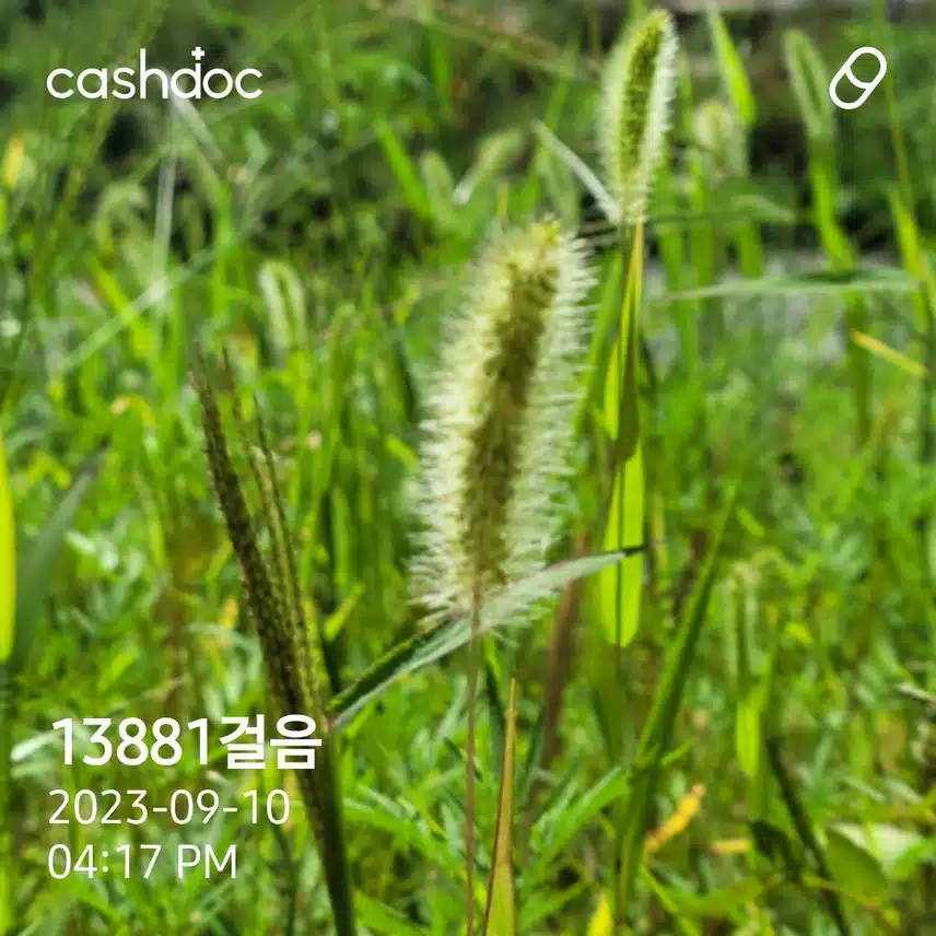 (꿀팁) 숨을 편히 쉬도록 도와주는 호흡운동법