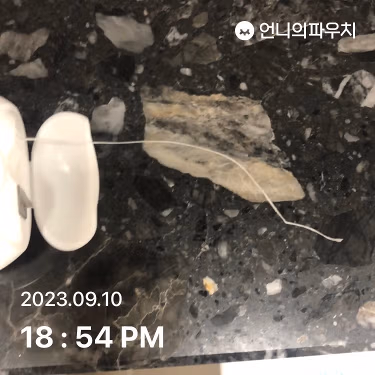 닥터스 왁스치실