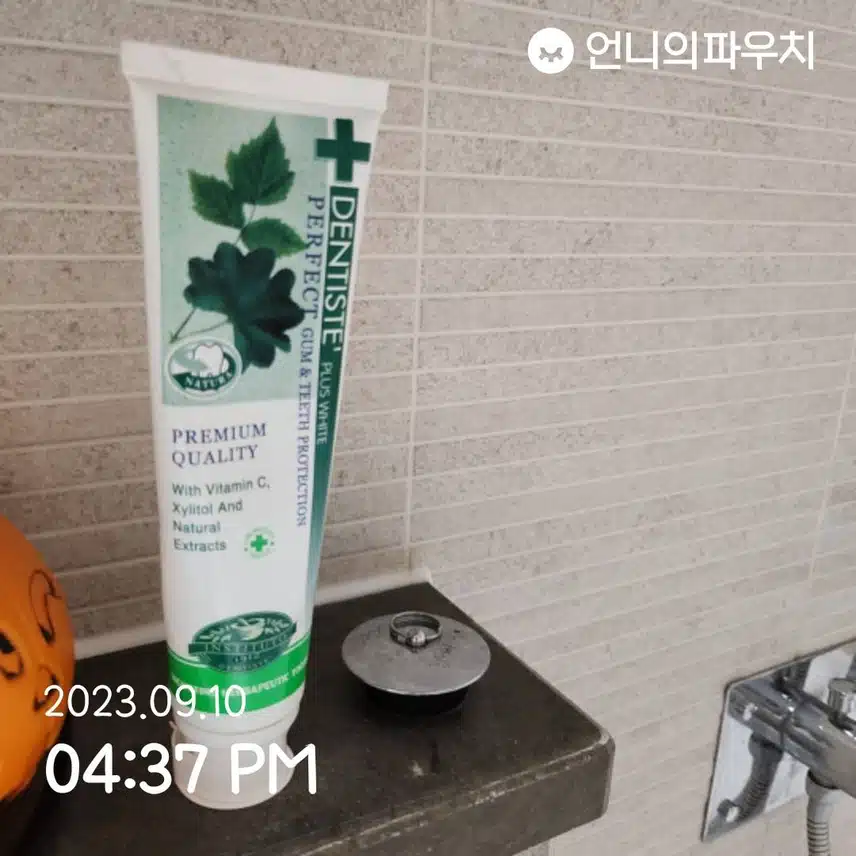 덴티스테 플러스 화이트 브리즈민트 치약 