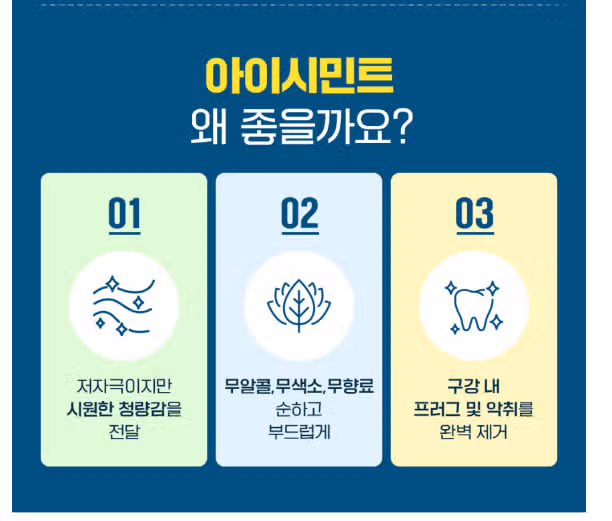 내돈내산 테라브레스 오랄린스 아이시민트 