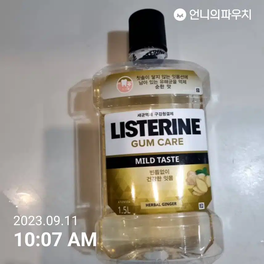 [구강케어]리스테린 검 케어 순한 맛