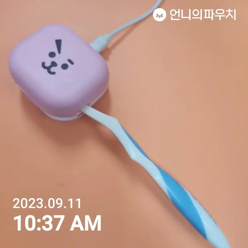 휴대용칫솔살균기 BT21