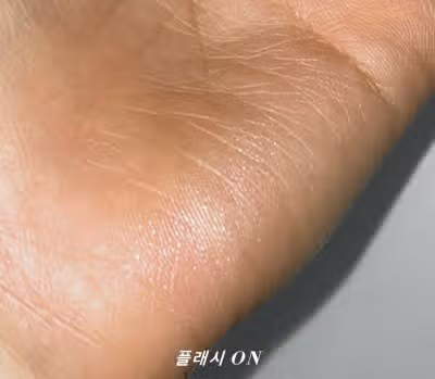 진주알 느낌의 하이라이터와 부드러운 그림자 쉐딩 간단 사용법! ✨