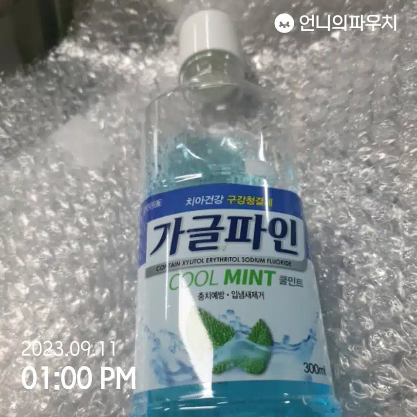 가글파인 쿨민트 300ml