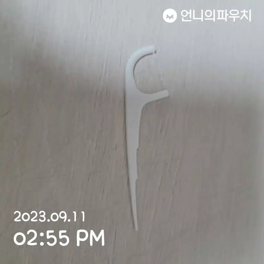 내돈내산 3M일회용 치실