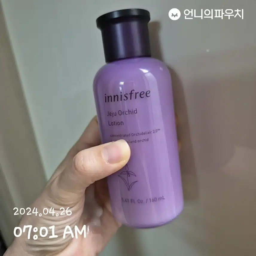 제주한란