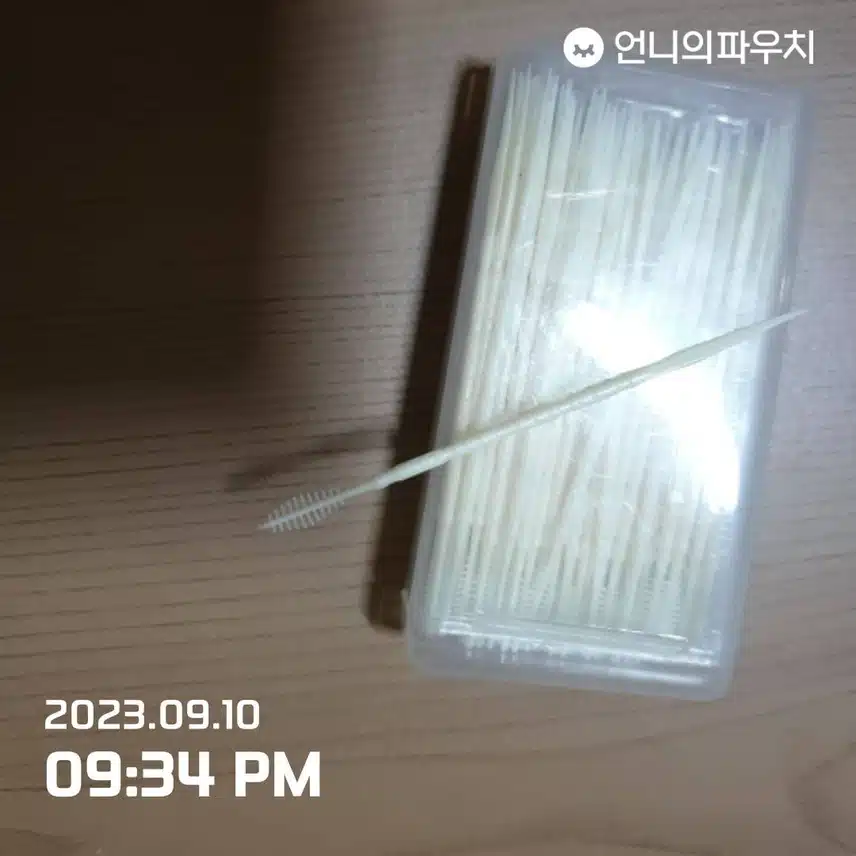 내돈내산:치간칫솔형 이쑤시개