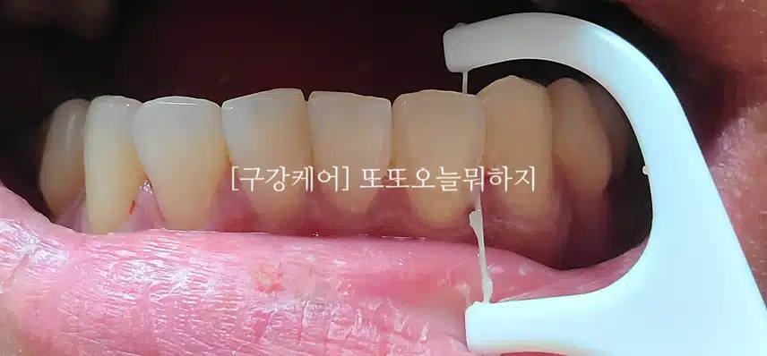 꼼꼼한 구강케어 되는 치실 소개해요!