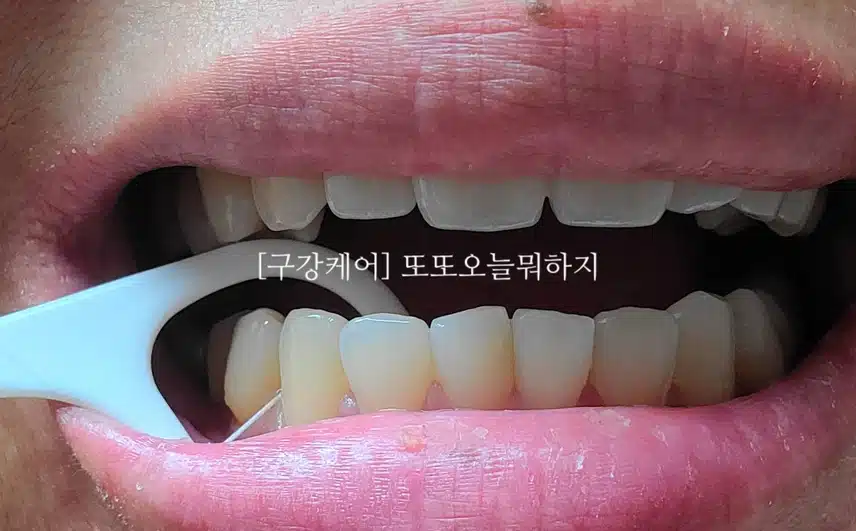 꼼꼼한 구강케어 되는 치실 소개해요!