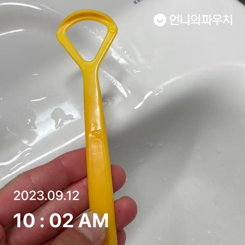 다이소 혀클리너 내돈내산