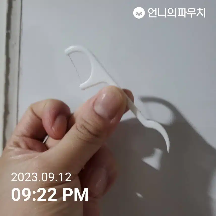 다이소 일회용 치실