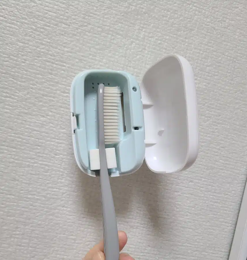 모던하우스 점보칫솔