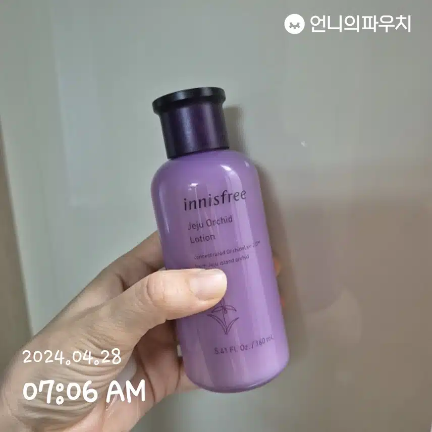 제주한란